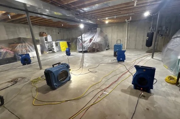 Basement Mold Cleanup in Port St. Lucie, FL