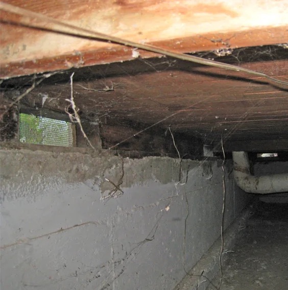 Water Extraction Services in Port St. Lucie, FL