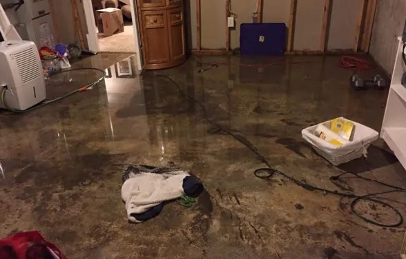Emergency Water Extraction in Cloud Lake, FL