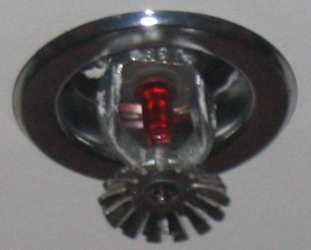 Fire Sprinkler Discharge Water Removal in Belle Glade, FL