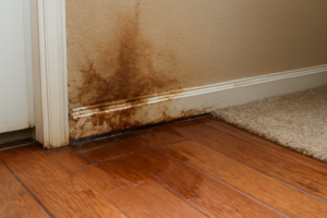 Water Leak Detection